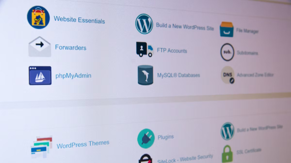 WordPress is the Future of Online Coaching Platforms